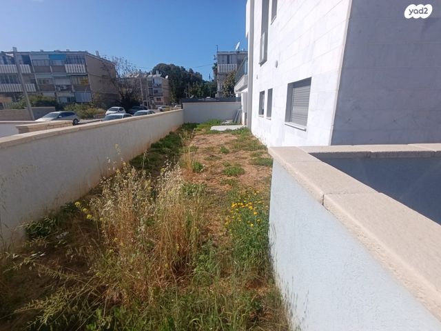 דירת גן, ברטנורא, שקמים ואגמים, אשקלון