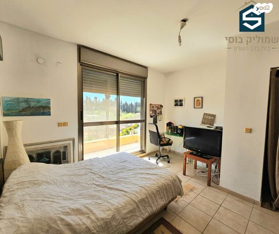 דופלקס, צור משה