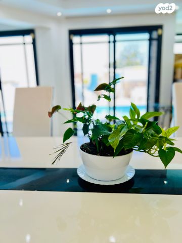 בית פרטי/ קוטג', גנים ב', אילת