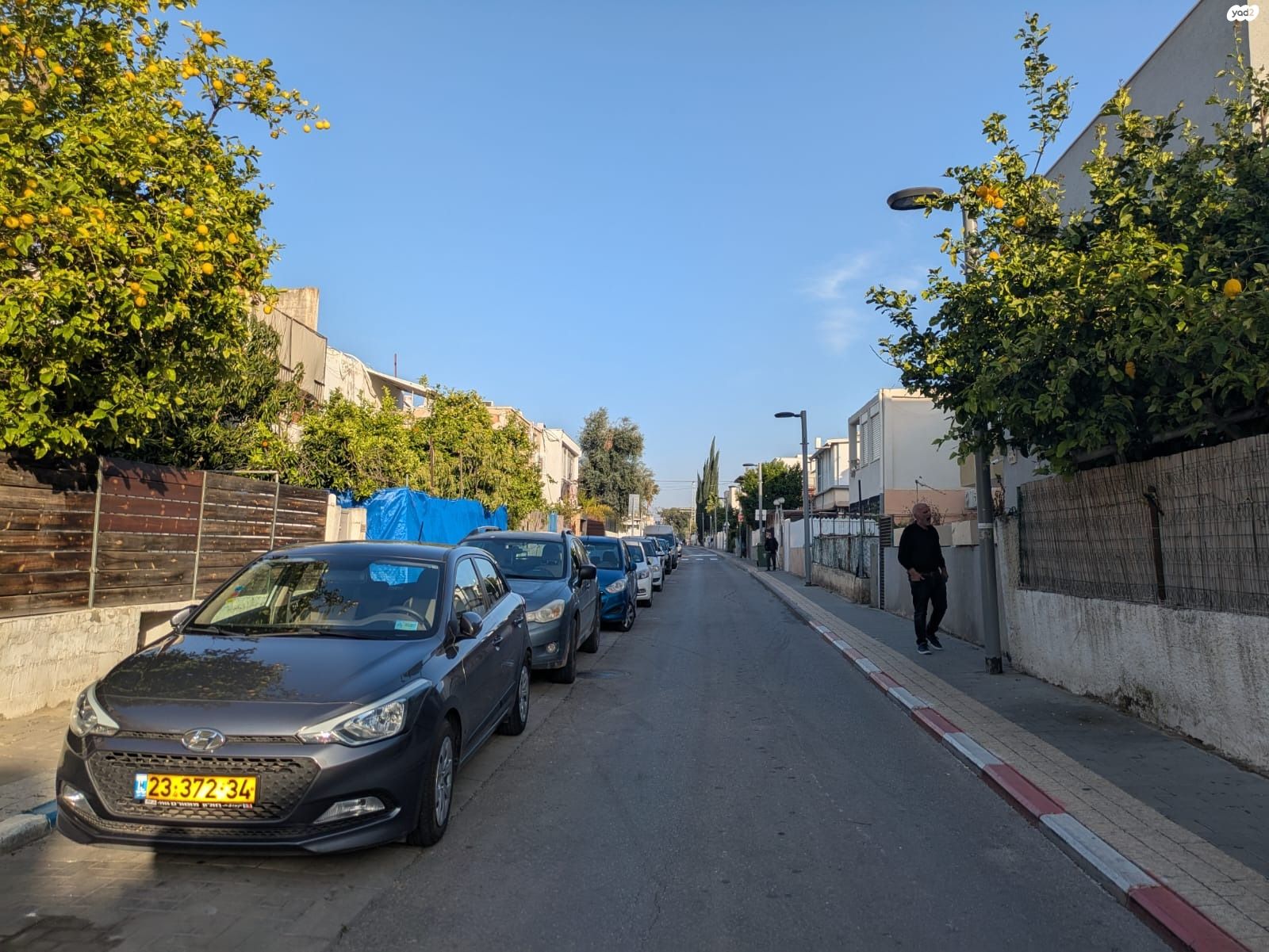 מיימון 