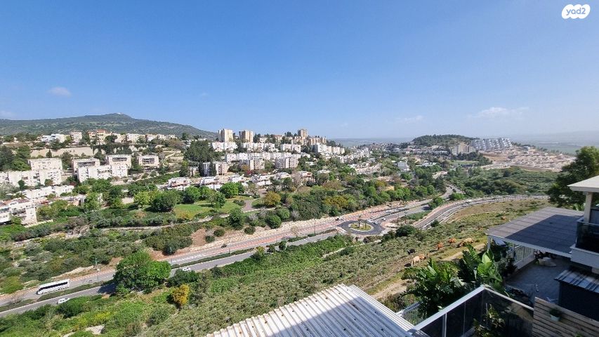 גבעת כלניות