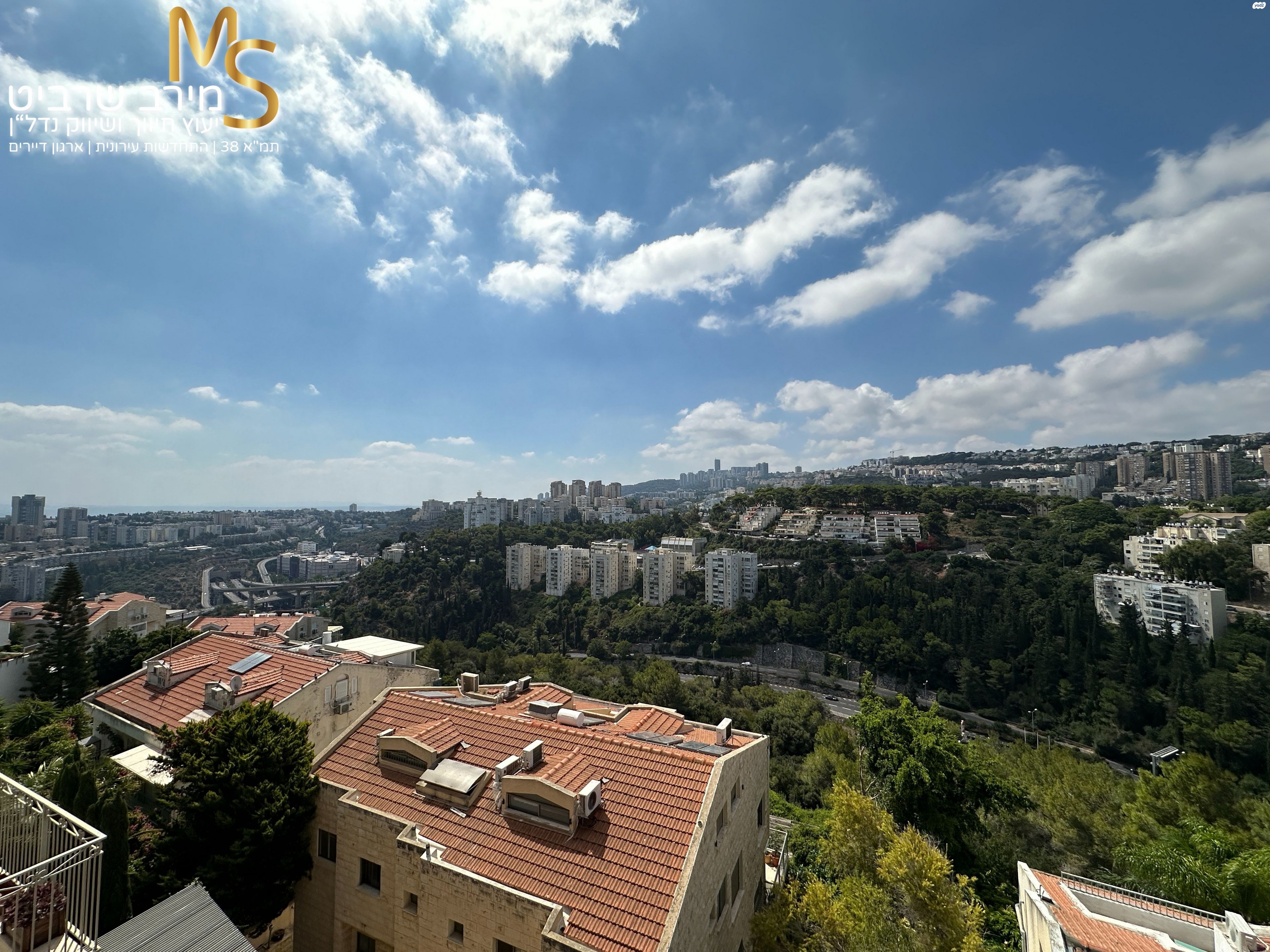 נורית 
