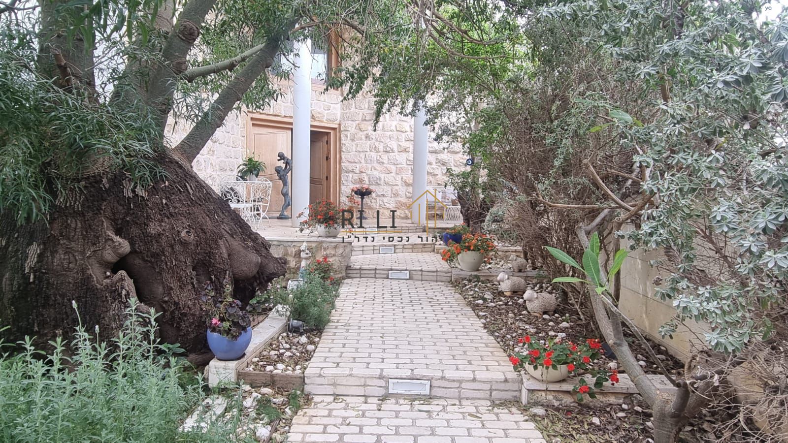 שאר העיר