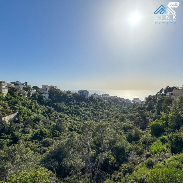 דירה, בית לחם, כרמל צרפתי, חיפה