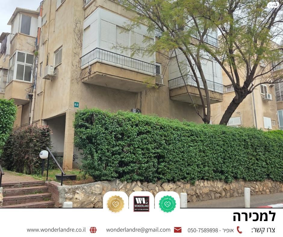 שיינקין 
