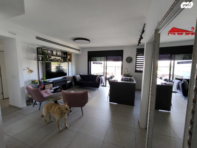 שולמית אלוני 