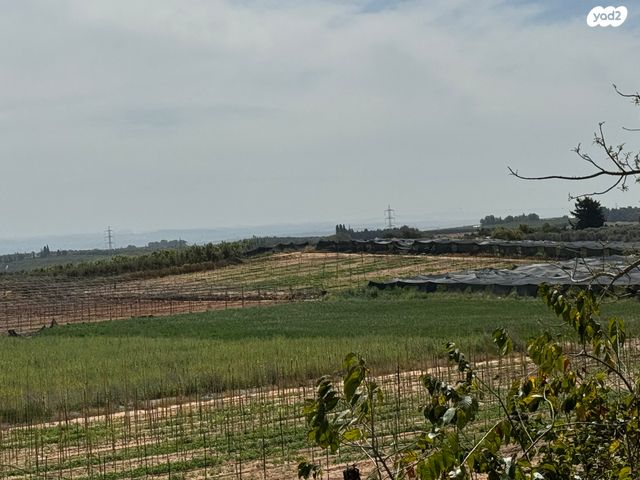 משק חקלאי/ נחלה