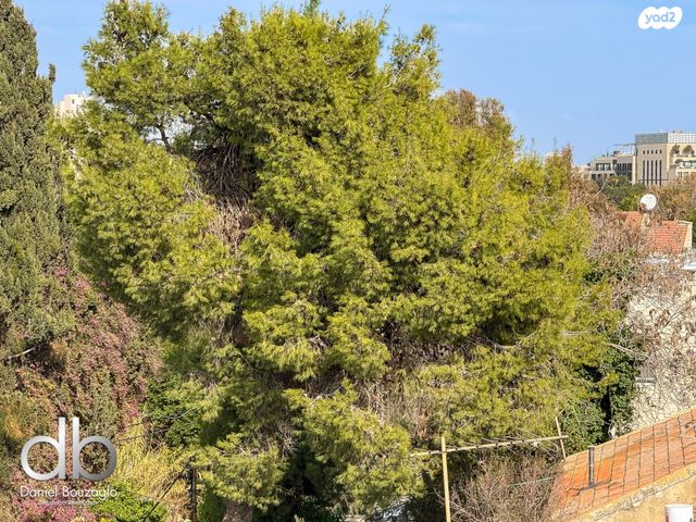 גג/ פנטהאוז, בקעה, ירושלים