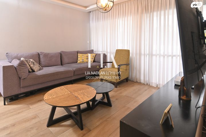 אליקים המלך 13