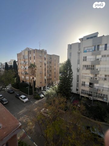 הכלנית 