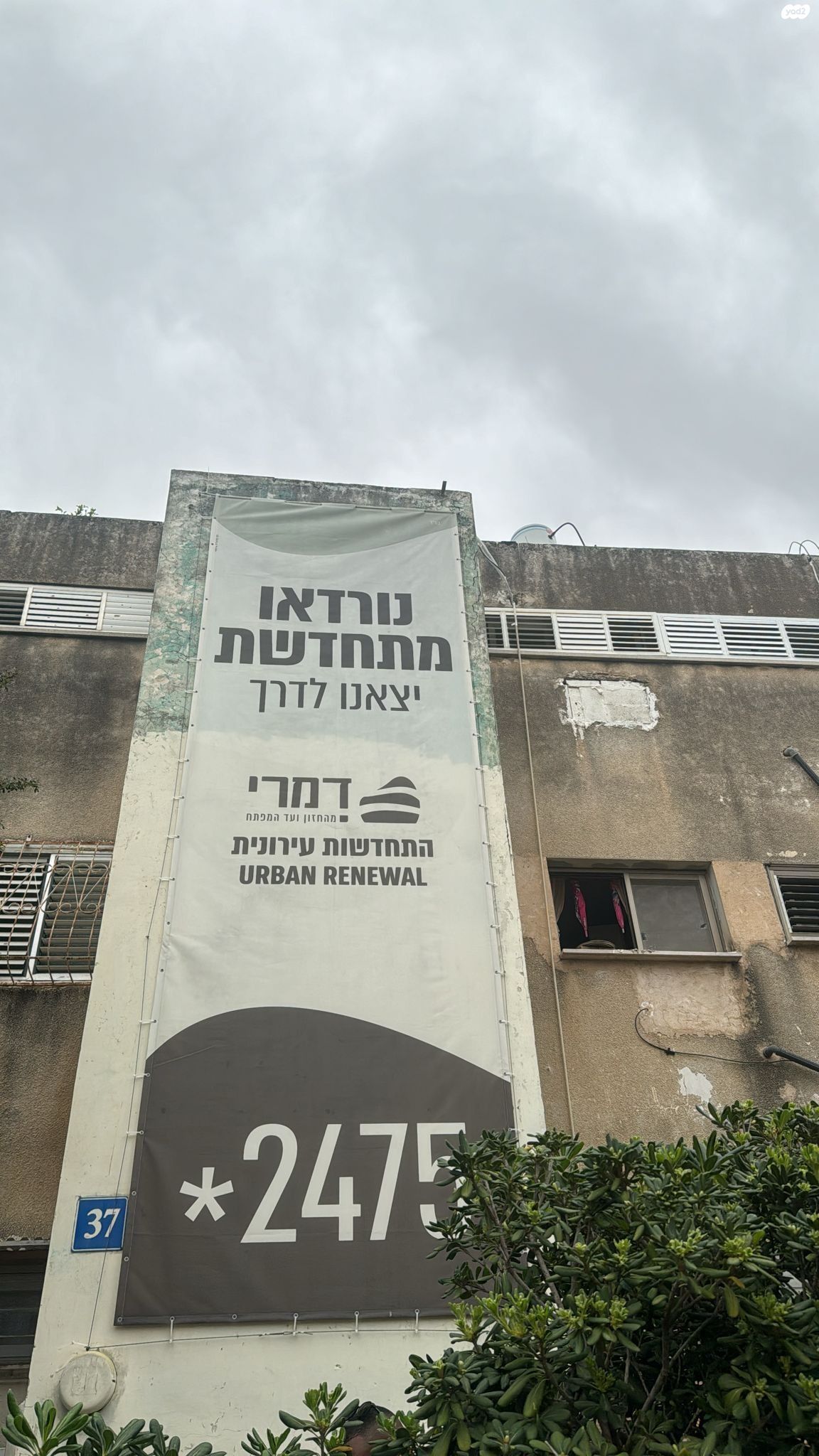 נורדאו 35