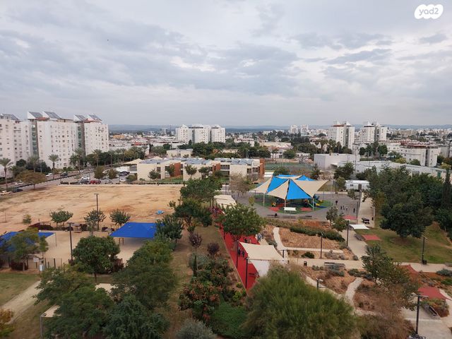 חללי אגוז 17