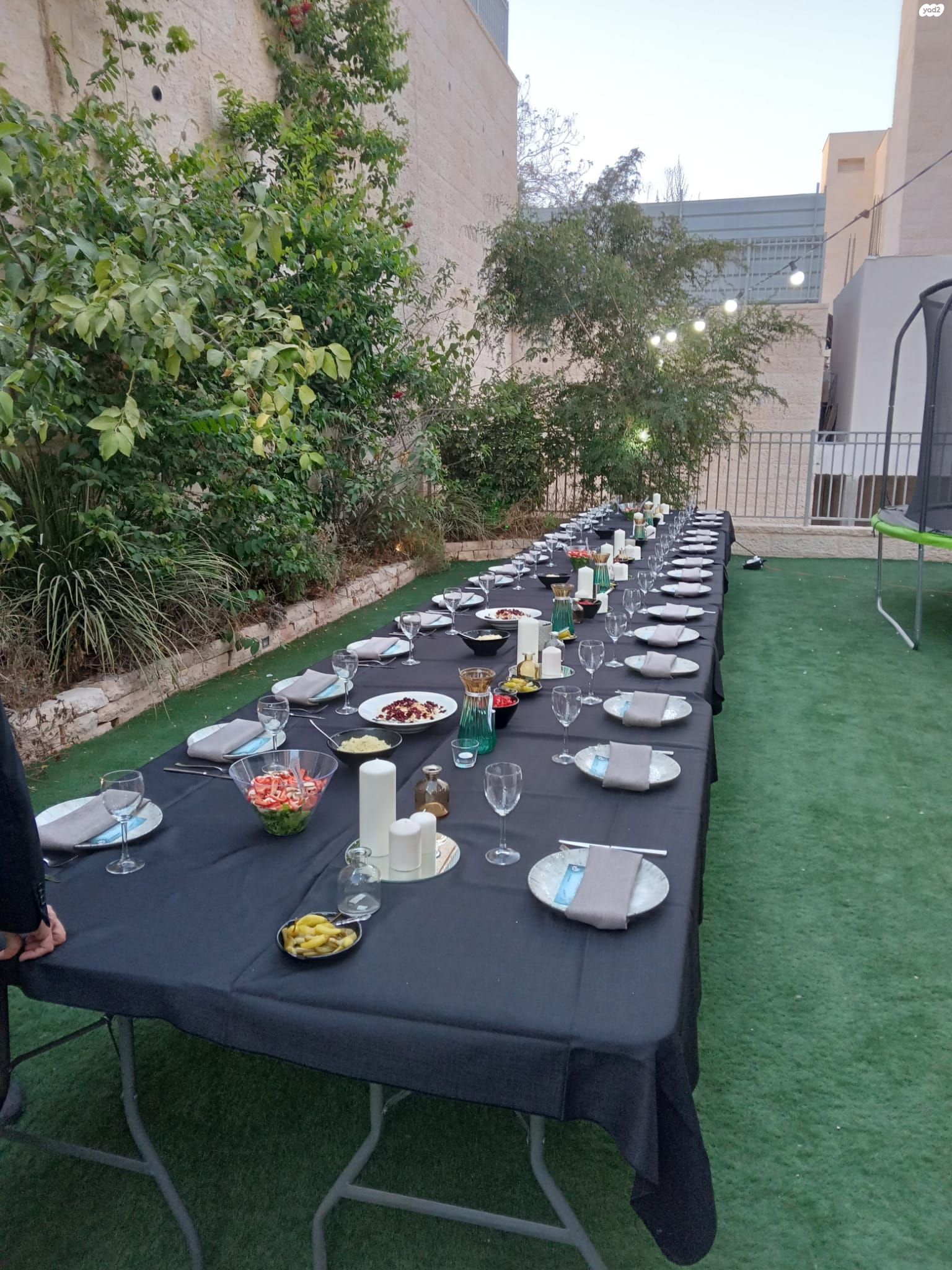 יונה בן אמיתי 24