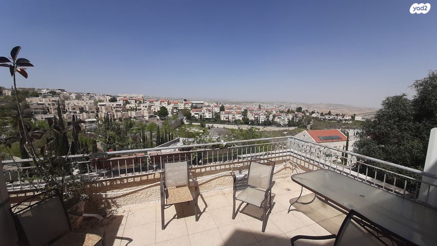 איסר נתנזון 7