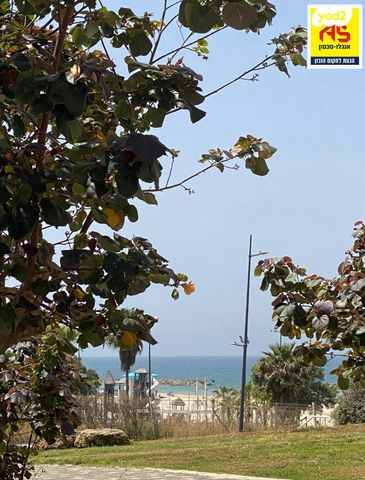 דירה, יפה נוף, אפרידר, אשקלון