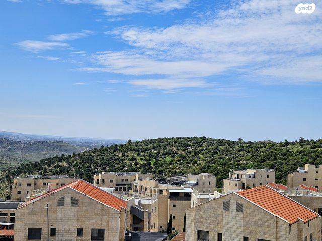 גג/ פנטהאוז, צור הדסה