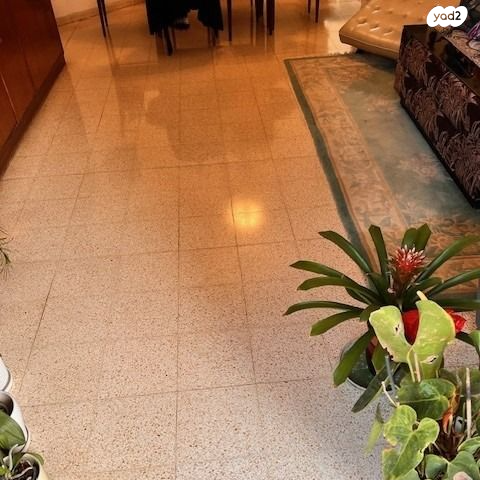 דירה, לוין שמעון זאב, הרצליה