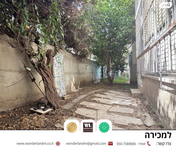 חביבה רייק 