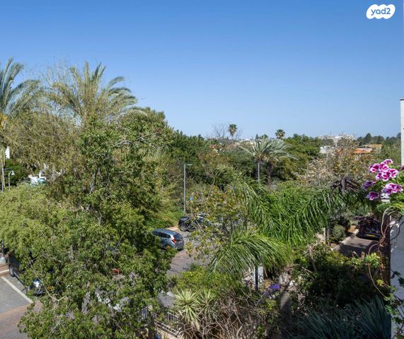 דירה, תל אביב יפו