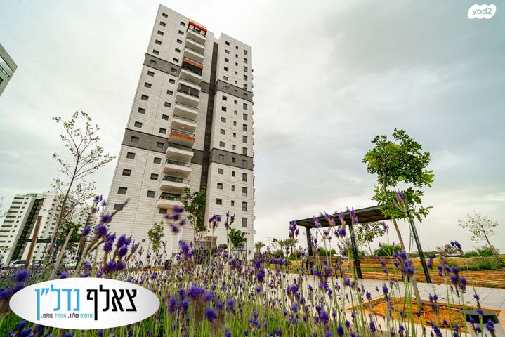 דירה, היוצרים, עיר היין, אשקלון