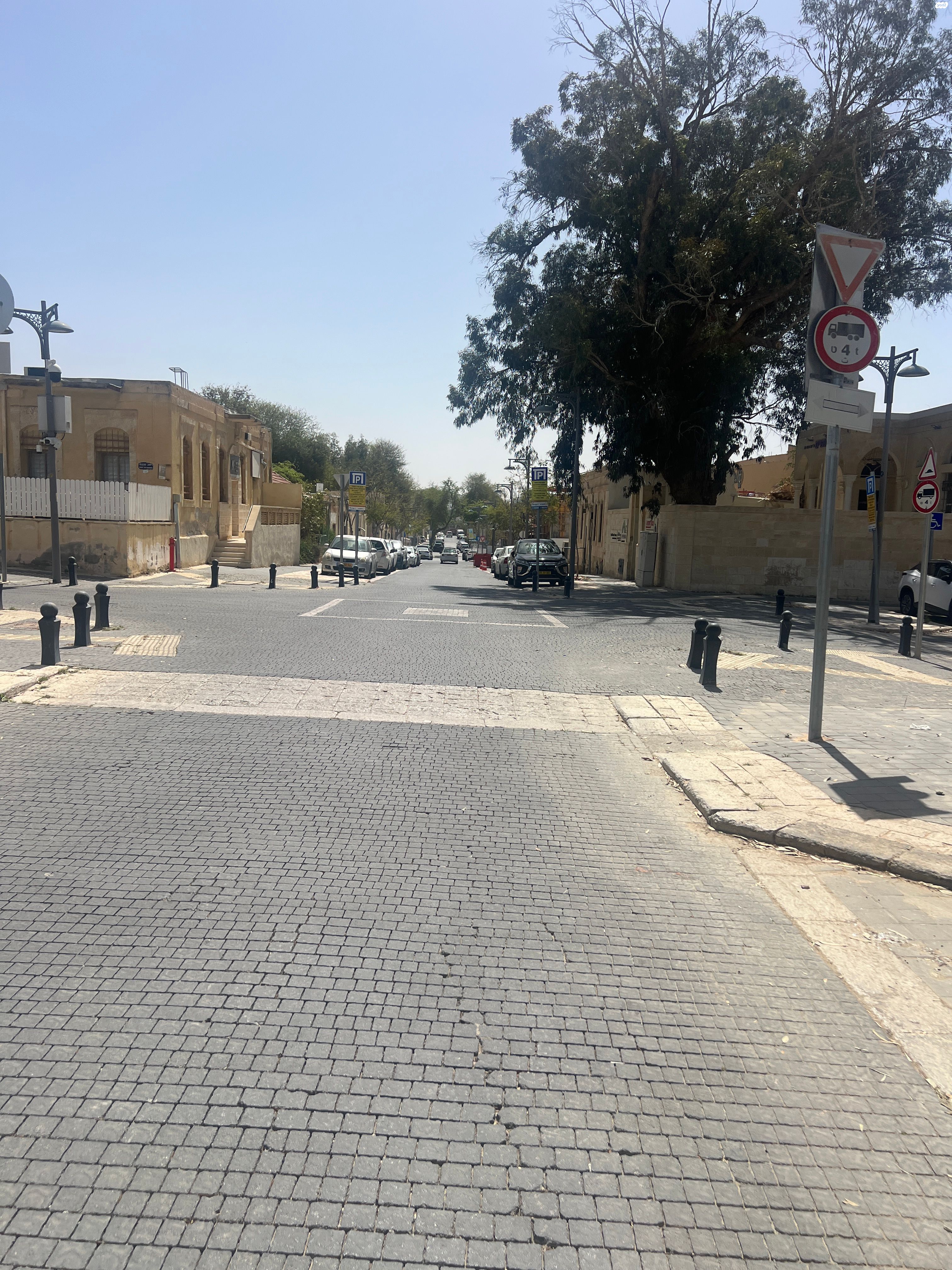 האבות 