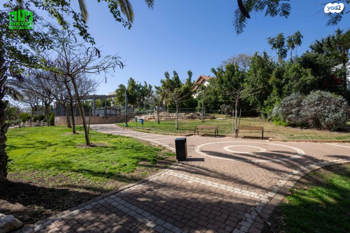 דירה, תל אביב יפו