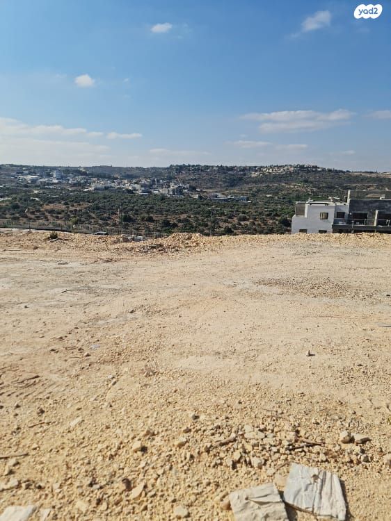 מגרשים