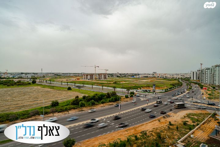 דירה, היוצרים, עיר היין, אשקלון