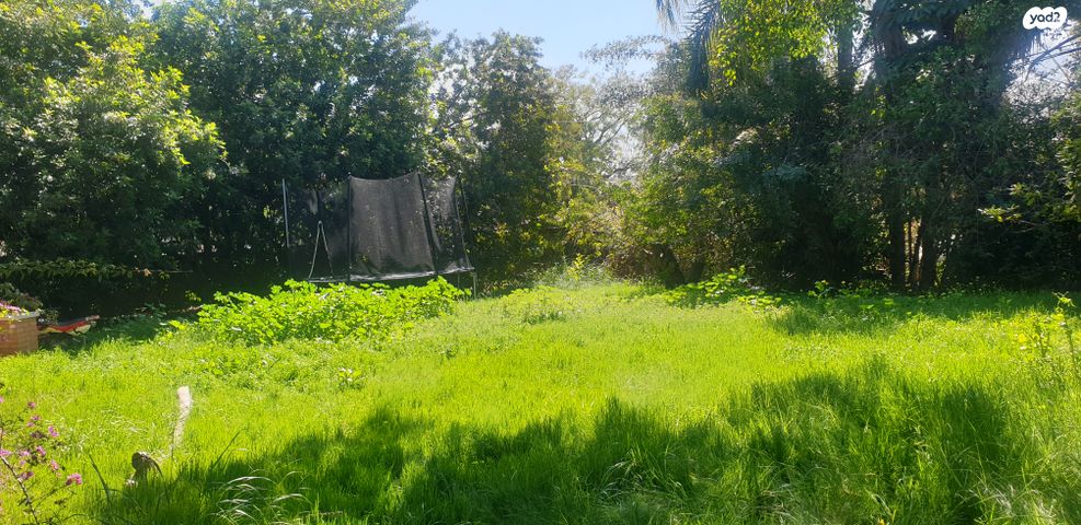 בית פרטי/ קוטג'