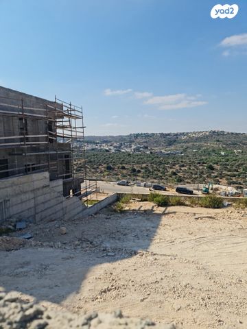 מגרשים, צופים