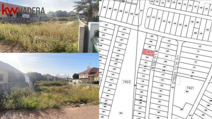 מגרשים, שקד, אליכין