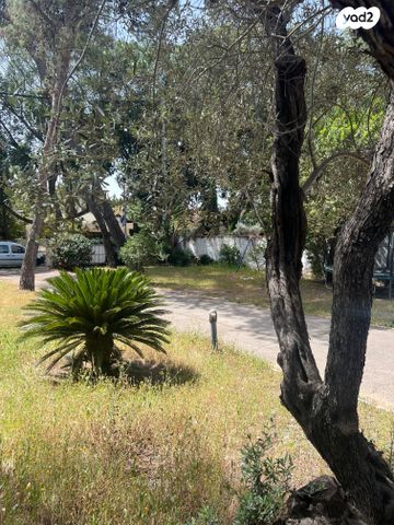 בית פרטי/ קוטג', הגבעה, סביון, סביון