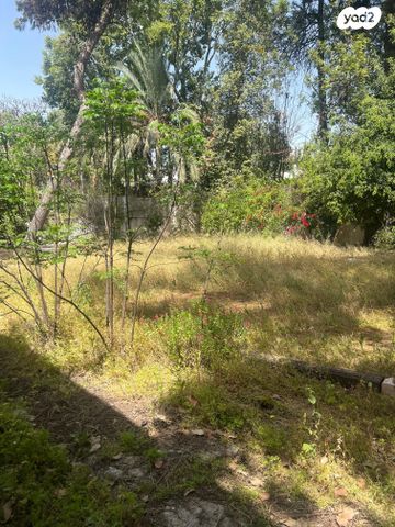 בית פרטי/ קוטג', הגבעה, סביון, סביון