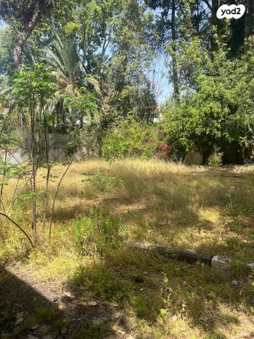 בית פרטי/ קוטג', הגבעה, סביון, סביון