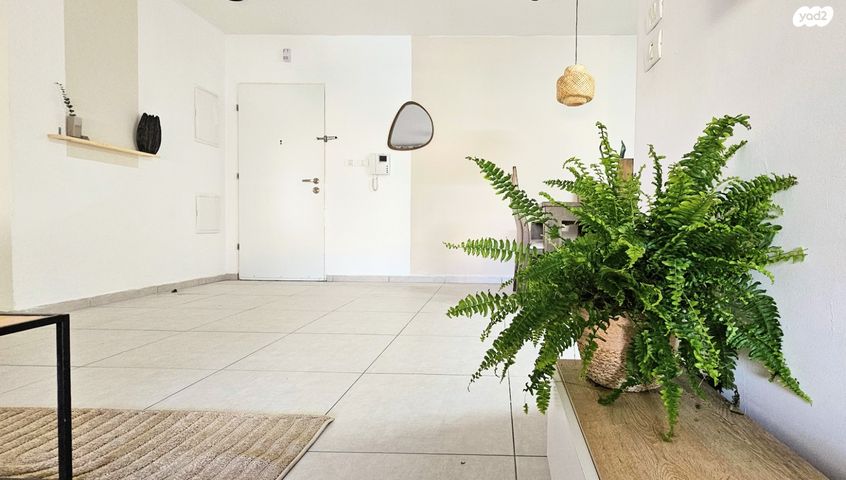 דירה, מודיעין, אפרידר, אשקלון