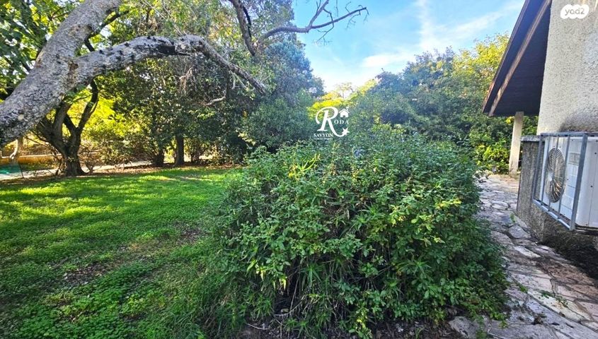 בית פרטי/ קוטג', סביון