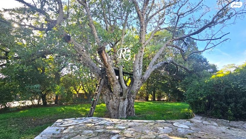 בית פרטי/ קוטג', סביון