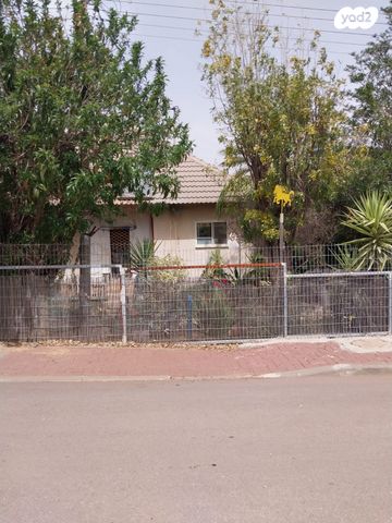 השקד 1