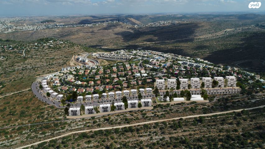 דופלקס, נריה, טלמון