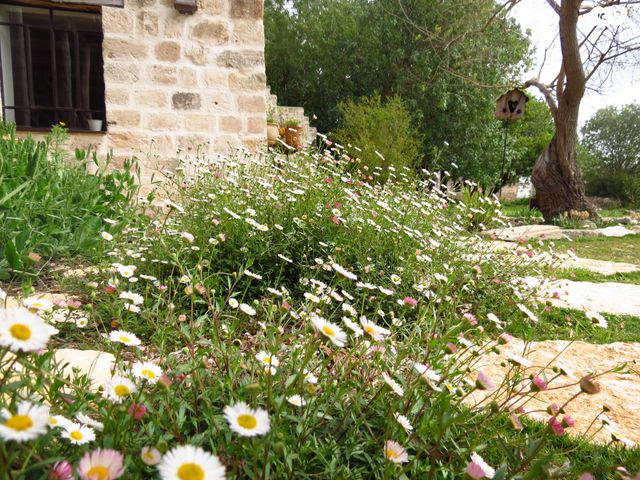 בית פרטי/ קוטג', אלוני אבא