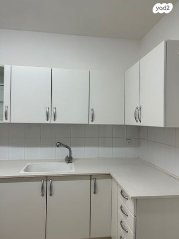 שדרת התמרים 