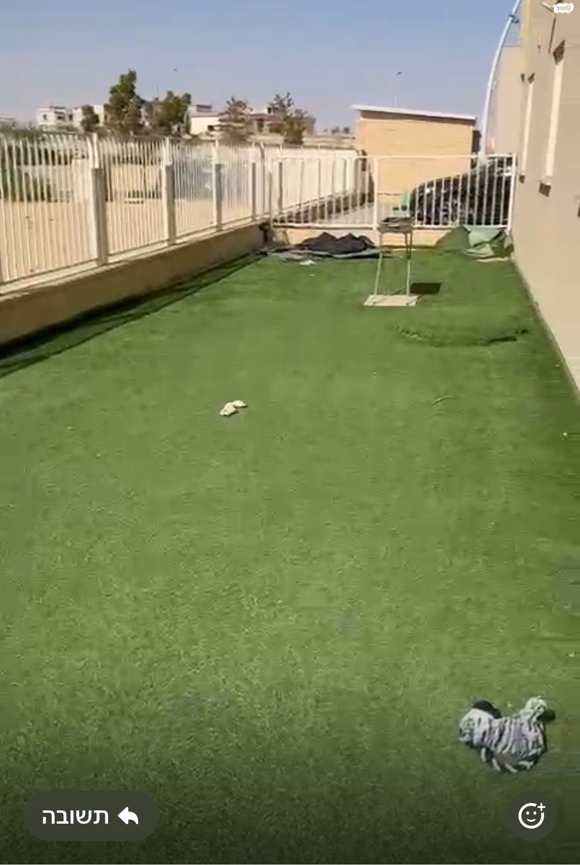 המשוררת 1