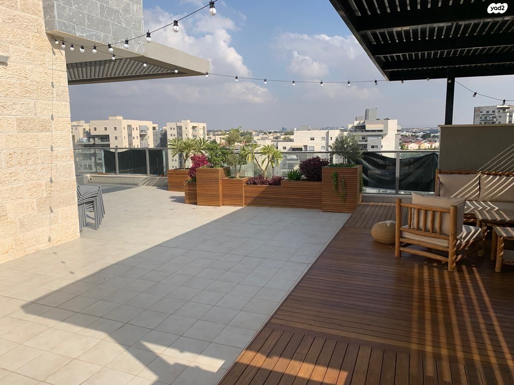 נצר חזני 20