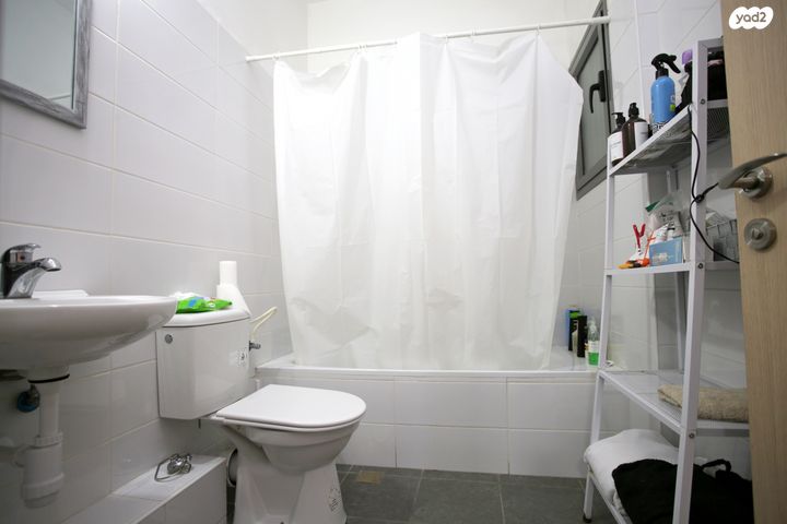 דירה, סלעית, צהלה, ירוחם