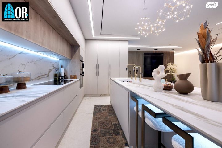 גג/ פנטהאוז, שדרות הרצל, השופטים צפון, רמלה