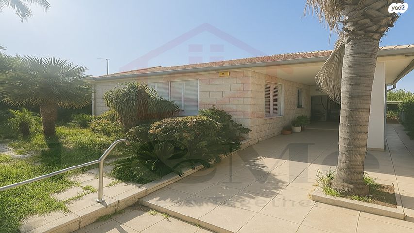 אליעזר קפלן 