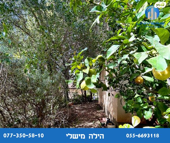 דו משפחתי, פרוד