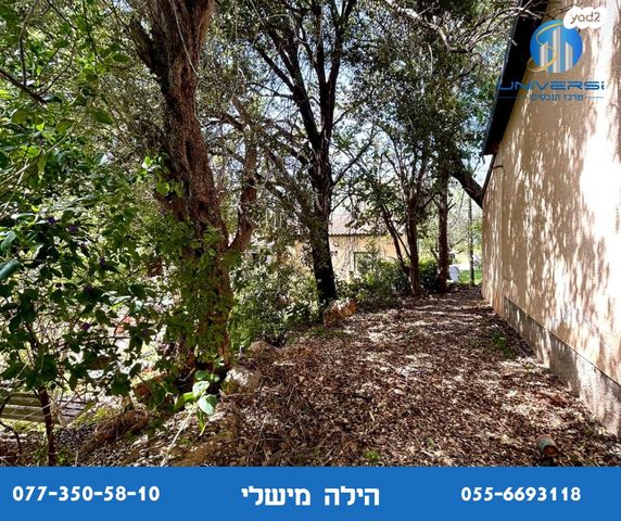 דו משפחתי, פרוד