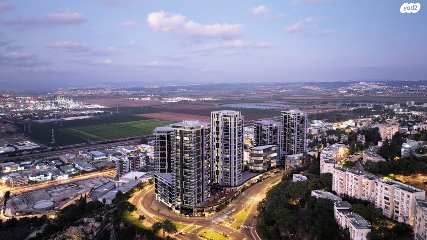 האורן 