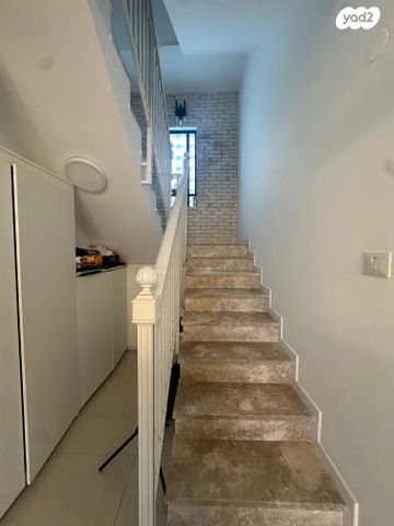 טריפלקס, לכיש, נווה אילן, אשקלון